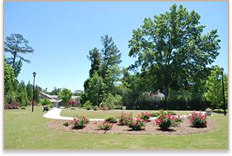 Flower Garden